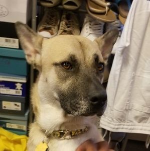 Meet your Posher, Jacob